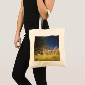 Tote Bag Llamas de bébé dans un champ (Devant (produit))