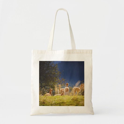 Tote Bag Llamas de bébé dans un champ (Devant)
