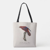 Tote Bag Lori à queue brune, Trichoglossus borneus (Dos)