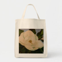Magnolia Bloom