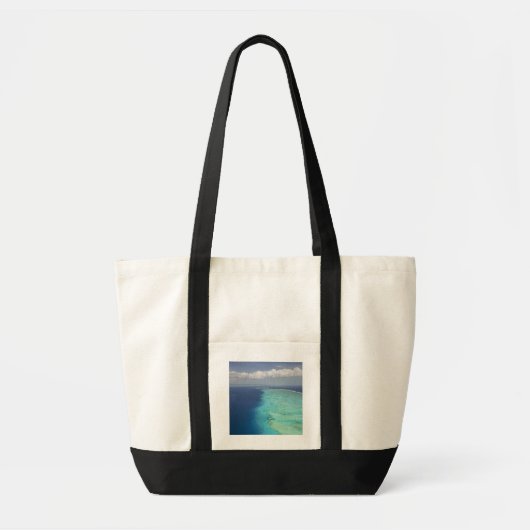 Tote Bag Malolo Barrier Reef au large de Malolo Island, Fid (Devant)