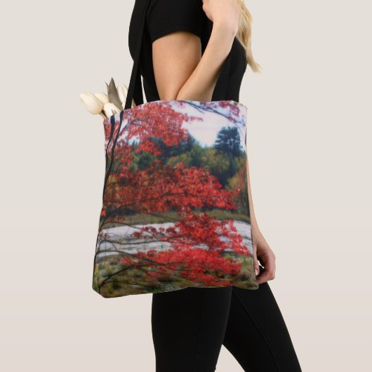 Tote Bag Marais rouge du feuillage d'automne (De près)