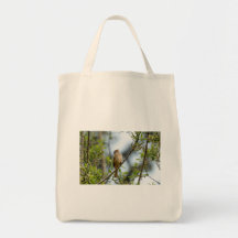 Moineau à couronne blanche – Photographie d'art