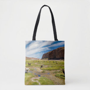 Tote Bag Montagnes   Andes boliviennes