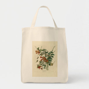 Tote Bag Oiseau à gorge rubis, Audubon Oiseaux Amérique