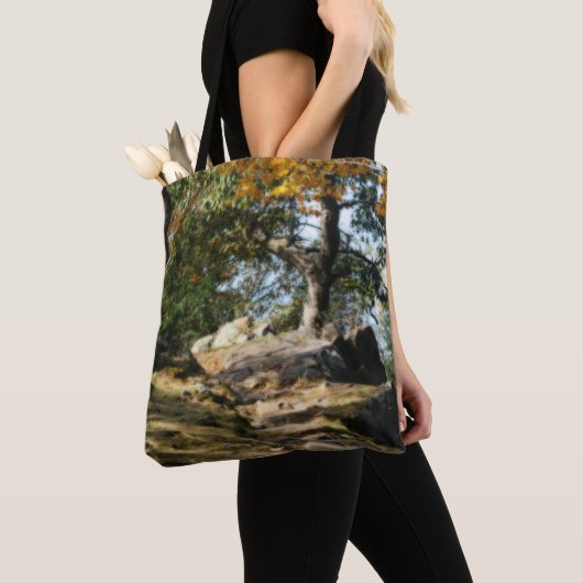 Tote Bag Paisible sentier forestier Nature (De près)