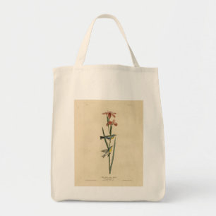 Tote Bag Parula du nord des oiseaux d'Amérique d'Audubon