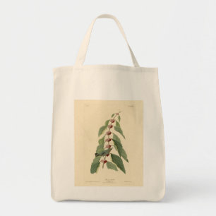 Tote Bag Paruline bleu-vert d'Audubon's Birds of America