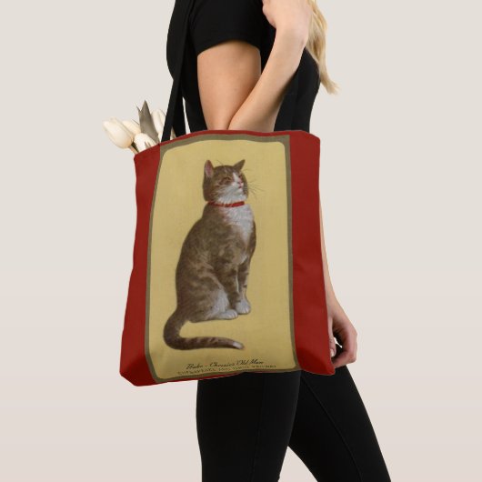 Tote Bag Peake, le chat tabby de Chessie (De près)