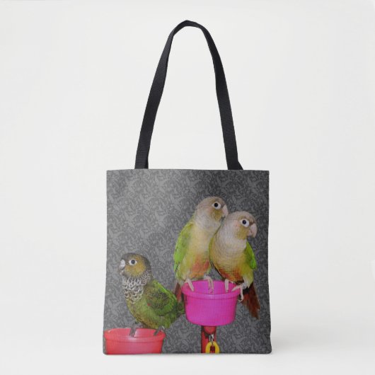 Tote Bag Perroquets Conure Bébé Animal  (Devant)