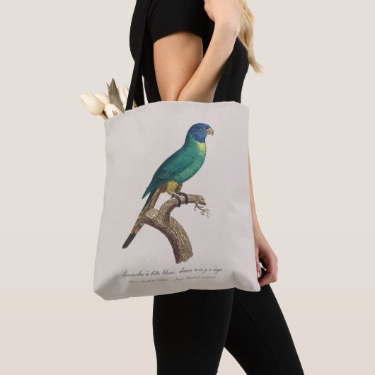 Tote Bag Perruche a tete bleue / Rainbow lorikeet, juvénile (De près)