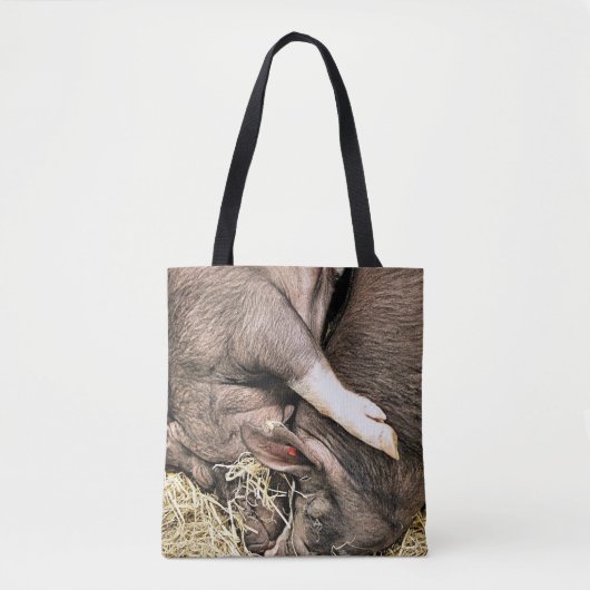 TOTE BAG PETITS PIÈCES FRAÎCHES (Devant)