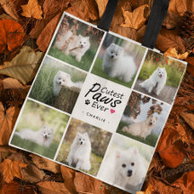 Photo Collage de photos de chiens d'animaux de com