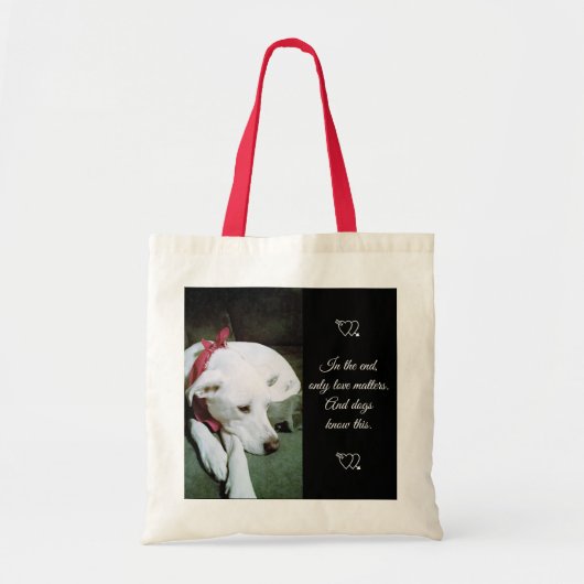 Tote Bag Photo de mignon chien blanc avec l'écharpe Saint-V (Devant)
