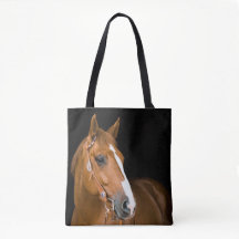 Photo de Quarter-Horse marron blanc