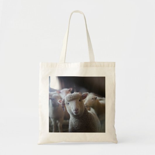 Tote Bag Photo Fourre-tout d'agneau (Devant)