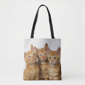 Tote Bag Photo mignonne de trois de gingembre chatons de (Devant)