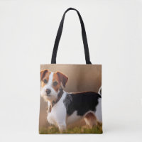 Photographie d'un chien Jack Russel Terrier mignon