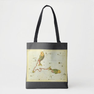 Tote Bag Poissons, Constellation Vintage Urania's Mirror