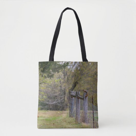 Tote Bag Pose de clôture d'écureuil (Devant)