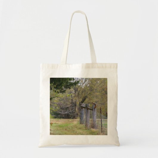 Tote Bag Pose de clôture d'écureuil (Devant)