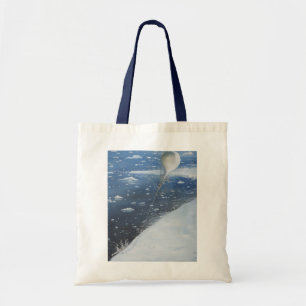 Tote Bag Premier aéronaute de capitaine Scott Antarctique.