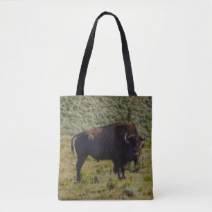 Tote Bag Qui regardez-vous