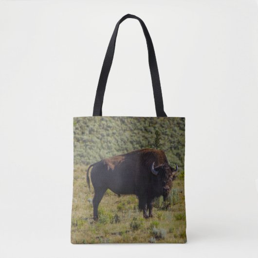 Tote Bag Qui regardez-vous (Devant)