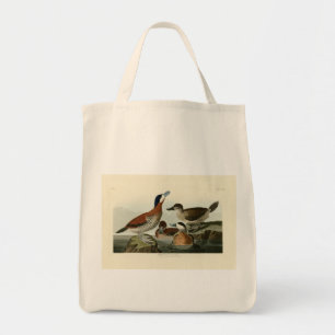 Tote Bag Ruddy Duck de John Audubon's Birds of America