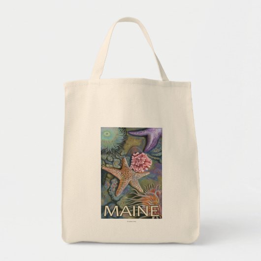 Tote Bag Scène MaineTidepool (Devant)