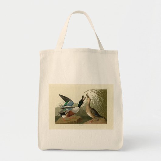 Tote Bag Shoveler Duck - de Audubon's Birds of America (Devant)
