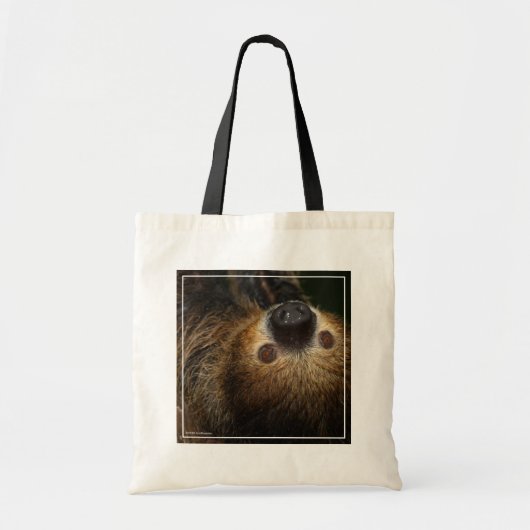 Tote Bag Sloth à deux doigts du Sud (Devant)