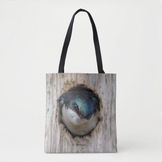 Tote Bag Songeur d'hirondelle d'arbre dans Nestbox (Devant)