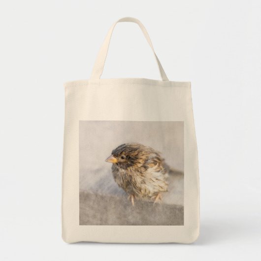 Tote Bag Sparrow - Échec Épique des Prévisions Météo (Devant)