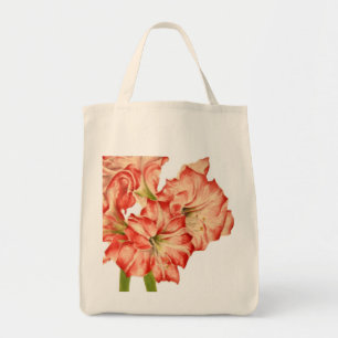 Tote Bag Sucre de canne sur une Fourre-tout d'épicerie