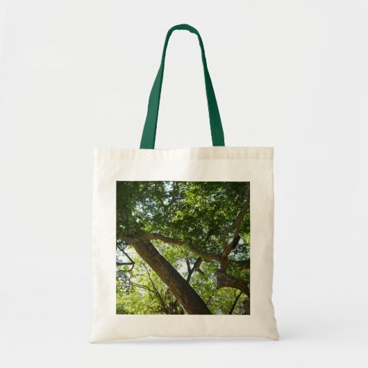 Tote Bag Sycamore Tree Nature verte (Devant)