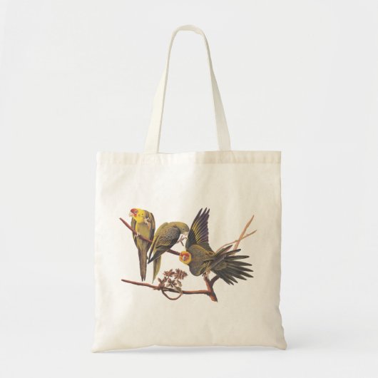 Tote Bag T-Shirt Audubon Carolina Parakeet Trio (Devant)