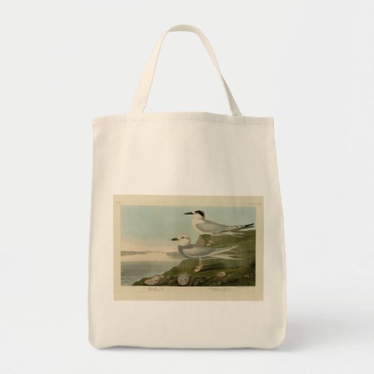 Tote Bag Tern Audubon Birds of America de Havell et Trudeau (Devant)