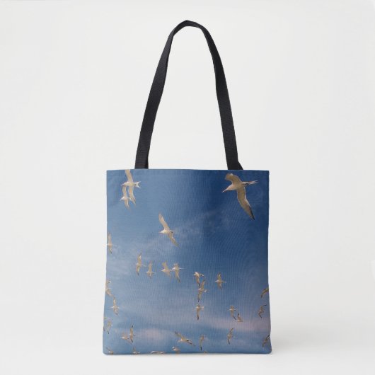 Tote Bag Terres (Devant)