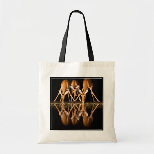 Tote Bag Three Impala Drink Together at Night (Devant)
