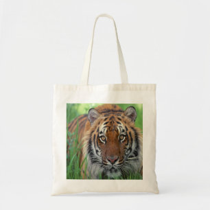 Tote Bag Tigre