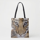 Tote Bag Tigre CUB (Devant)
