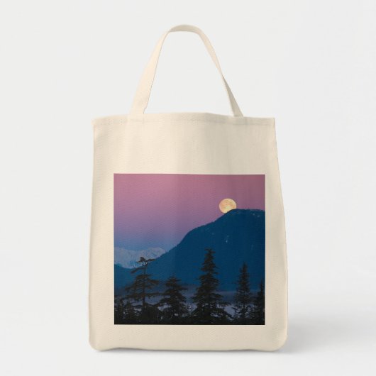 Tote Bag Tombe nocturne en Alaska (Devant)
