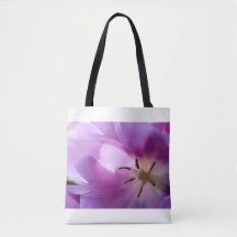Tulipe pourpre