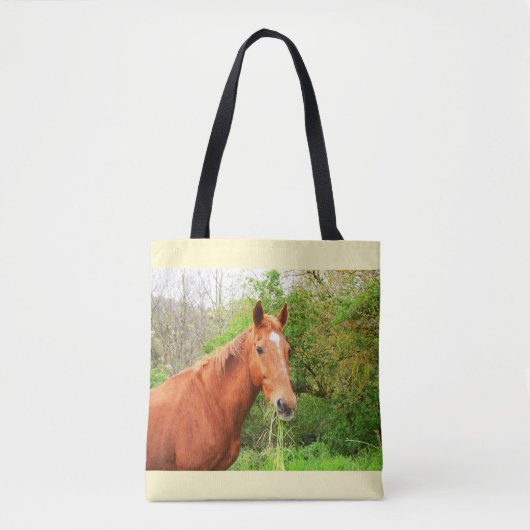 Tote Bag Un cheval appelé Orion (Devant)