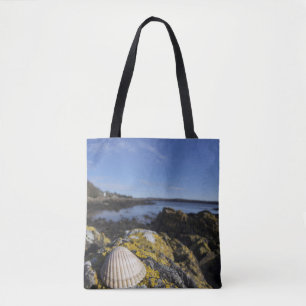 Tote Bag Un coquillage se repose sur une roche Dumfries,