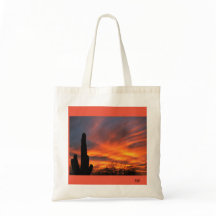 Un sahuaro cactus avec un superbe coucher de solei