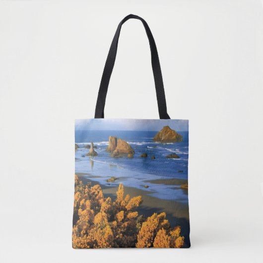 Tote Bag Vue Sur La Plage De L'Oregon À Bandon (Devant)
