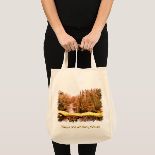 TOTE BAG VUES DES ALLES (Devant (produit))