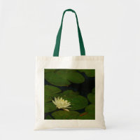 White Waterlily I Peaceful